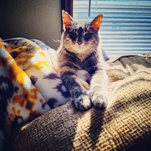 Meet your Posher, Erinn